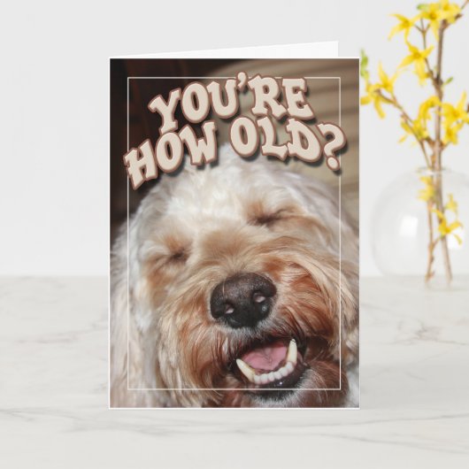 あなたは古いいかにか。 カード (黄色い花)