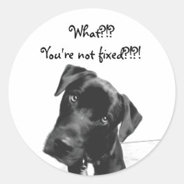 あなたは固定されていない ラウンドシール