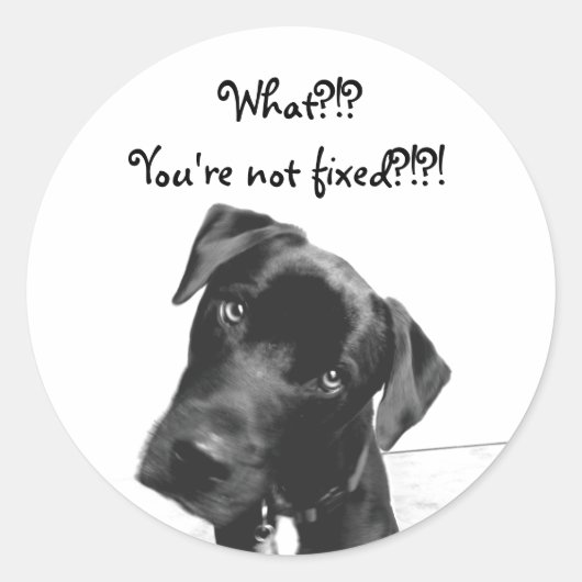 あなたは固定されていない ラウンドシール (正面)