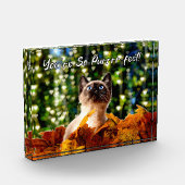 あなたは完璧だ |キットン写真 |アクリルブロック フォトブロック (左)