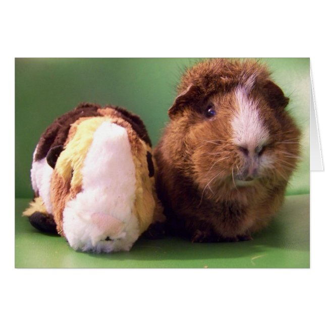 あなたは実質の取り引きカード (正面横)