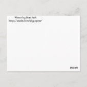 あなたは希望を抱くピンクの感情！ ポストカード (裏面)