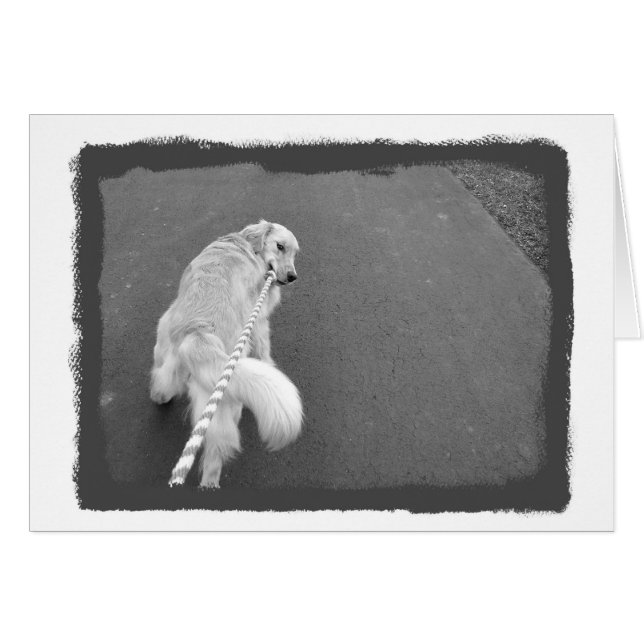 あなたは強い! (正面横)