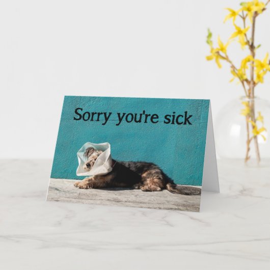 あなたは悪い病気の応援アップおもしろい犬が元気になる カード (黄色い花)