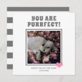 あなたは意図的なおもしろいヴァレンティネス猫の名前 シーズンカード (正面/裏面)