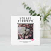 あなたは意図的なおもしろいヴァレンティネス猫の名前 シーズンカード (スタンド正面)