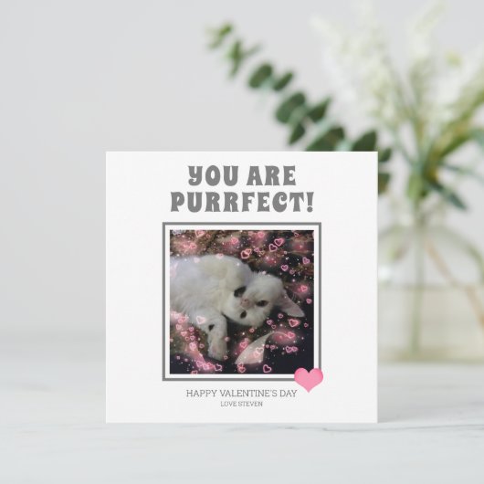 あなたは意図的なおもしろいヴァレンティネス猫の名前 シーズンカード (スタンド正面)