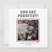 あなたは意図的なおもしろいヴァレンティネス猫の名前 シーズンカード (正面)