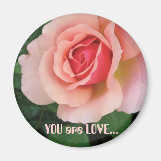 あなたは愛のマグネット マグネット