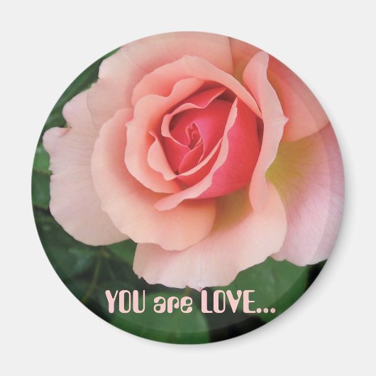 あなたは愛のマグネット マグネット (正面)