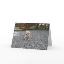 あなたは挨拶状だけ