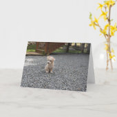 あなたは挨拶状だけ カード (黄色い花)