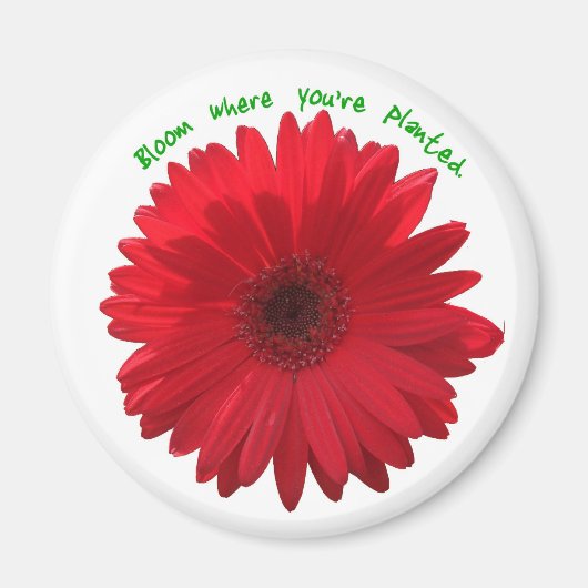 あなたは接地した開花 マグネット (正面)