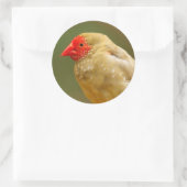 あなたは星だ！フィンチ ラウンドシール (バッグ)