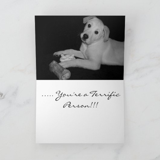 あなたは最高のカード！!! カード (内部)