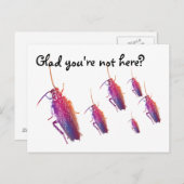 あなたは来ない？ゴキカラフルブリ ポストカード (正面/裏面)