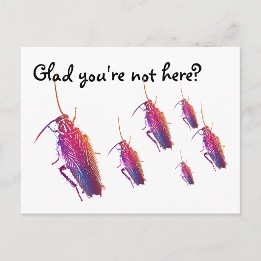 あなたは来ない？ゴキカラフルブリ ポストカード (正面)