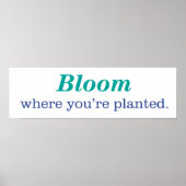 あなたは植えた場合 ポスター (正面)