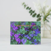 あなたは植えられた場所で育つ ポストカード (スタンド正面)