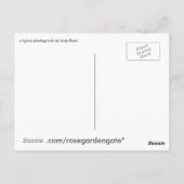 あなたは植えられた場所で育つ ポストカード (裏面)