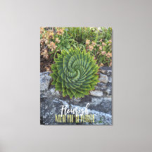 あなたは植えられた花崗岩らせん状のアロエ