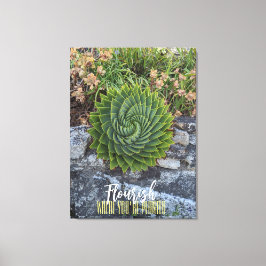 あなたは植えられた花崗岩らせん状のアロエ キャンバスプリント