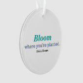 あなたは植えられる一方、 オーナメント (正面)