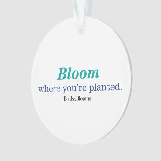 あなたは植えられる一方、 オーナメント (正面)