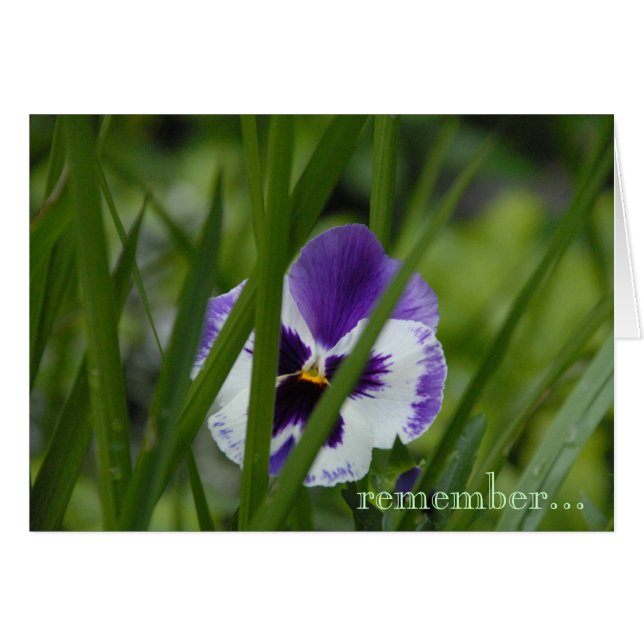 あなたは植えられる…ところ開花 (正面横)