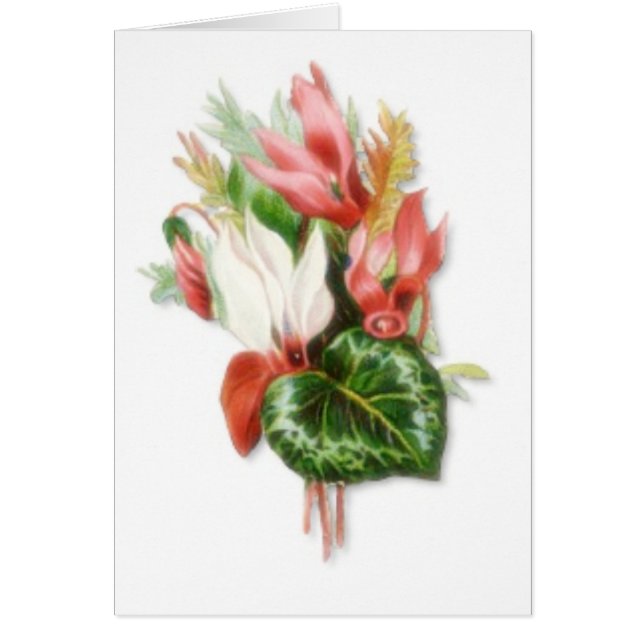 あなたは歓迎 (正面)