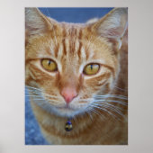 あなたは特別な_ Poster_by Elenne Boote ポスター (正面)