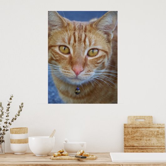 あなたは特別な_ Poster_by Elenne Boote ポスター (キッチン)