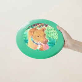 あなたは疲れたってどういうこと？ Wham-Oフリスビー