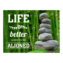 あなたは禅チロに並ぶ方が生活が良い