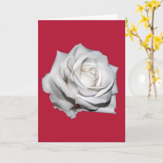 あなたは私にとって世界そのものなのよ カードをくれたキッドへ カード (黄色い花)