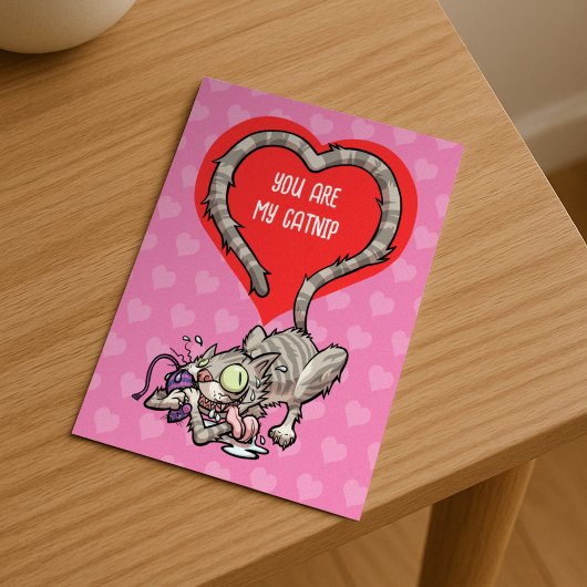 あなたは私のカブの代わりになるバおもしろいレンタイン猫 シーズンポストカード