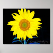 あなたは私のサンシャインサンフラワーポスターだ ポスター (正面)