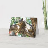 あなたは私のバレンタインデーになる_byエレンヌブース シーズンカード (正面)