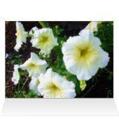 あなたは私のバレンタイン美しいカード (内部横(上))