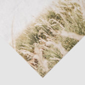 「あなたは私の永遠の愛」真っ赤な薔薇のエレガントな写真 薄葉紙 (詳細)