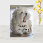 あなたは私の獣医お気に入りの**の**誕生日 カード (黄色い花)