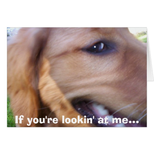 あなたは私のlookin… (正面横)