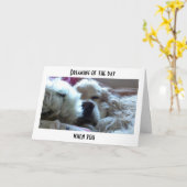 あなたは私より年上の夢を見る。 カード (黄色い花)