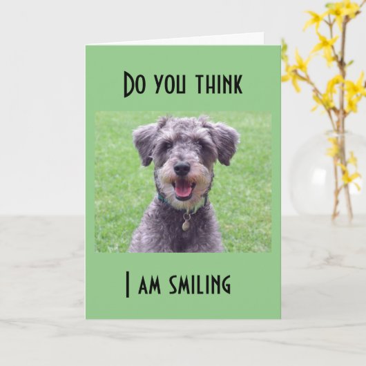 あなたは私より1歳年上だ カード (黄色い花)