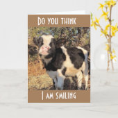 あなたは私より1歳年上だ カード (黄色い花)