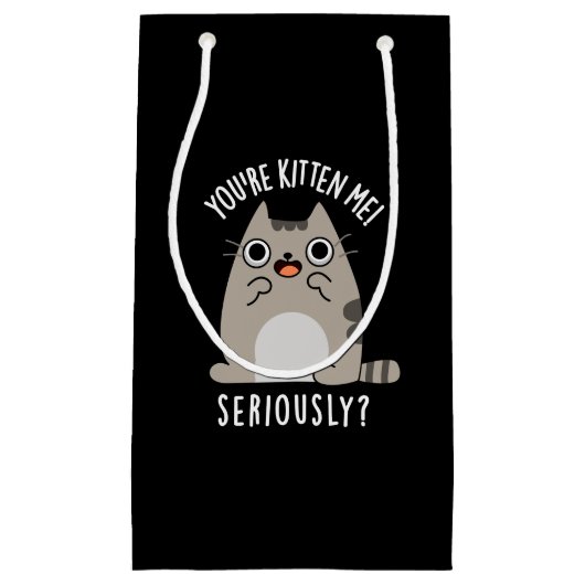 あなたは私を真剣に猫パおもしろいンダークBG スモールペーパーバッグ (正面)