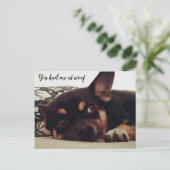 あなたは私を解雇した。チワワはがき。 ポストカード (スタンド正面)