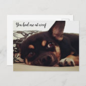 あなたは私を解雇した。チワワはがき。 ポストカード (正面/裏面)