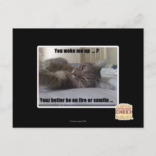 あなたは私を起こしてくれた ポストカード (正面)