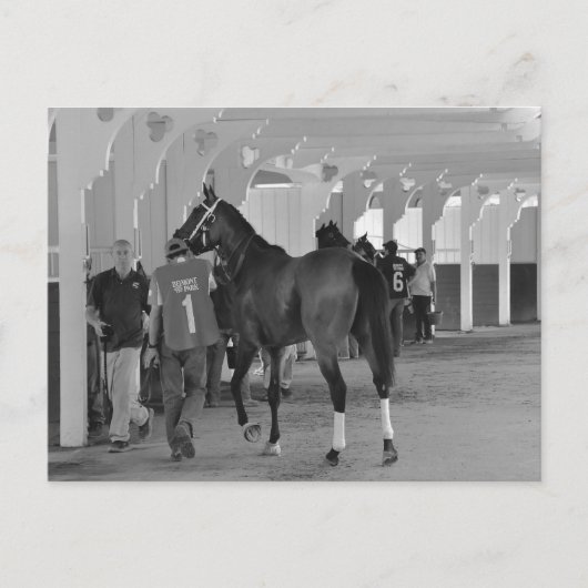 あなたは私をAdios Charlieで殺す ポストカード (正面)